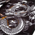 Venum-Dragon's Flight Short Sleeve Grappling Rashguard-7